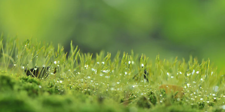 Liity Lehtovuoren yritysasiakkaaksi ja nauti kattavista eduista