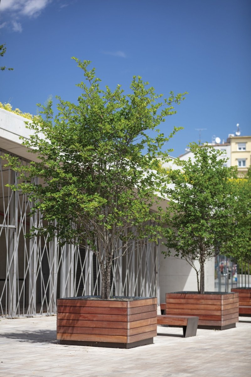 Istutusallas Květa KVA641t - Lehtovuori