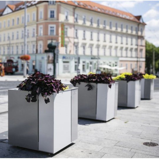 Istutusastia Malageno - Lehtovuori