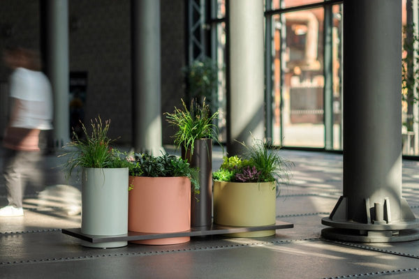 Istutusallas mmcité Polys POL425