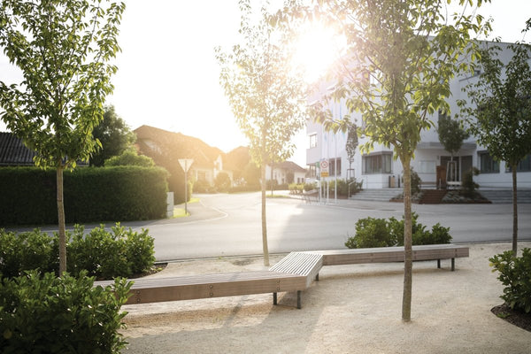 Penkki mmcité Woody LWD210t