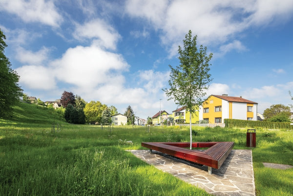 Penkki mmcité Woody LWD302t