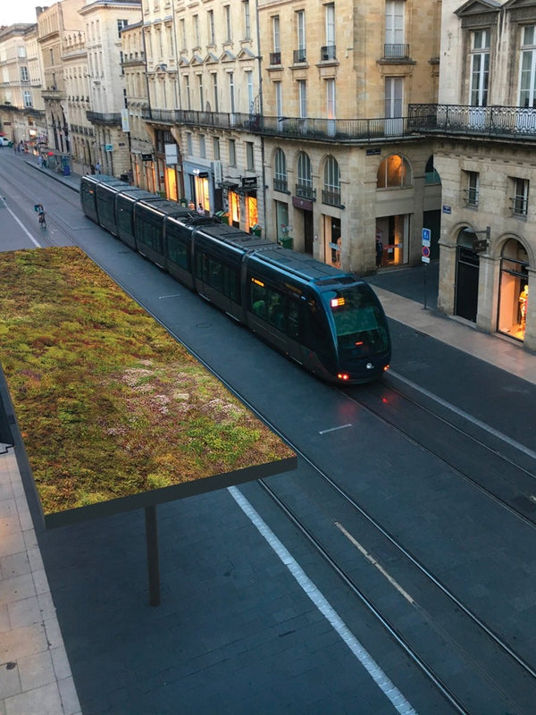 Taukokatos mmcité Pin PIN130